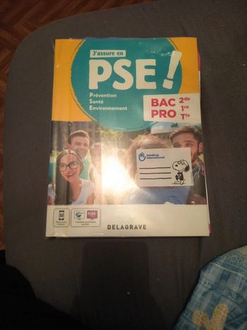 Bac pro pse