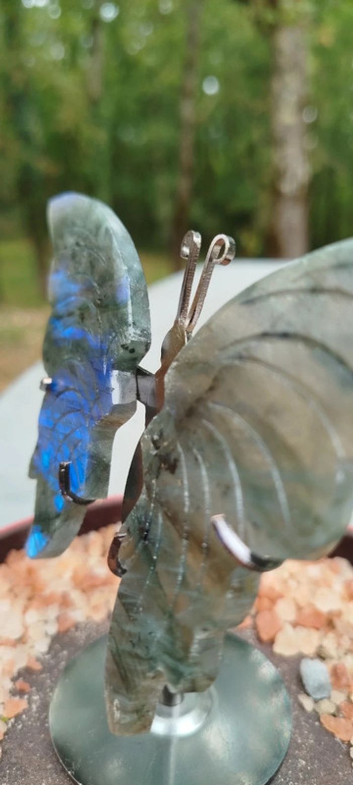 Papillon de l’Âme 🦋 Gardien des Mondes Subtils en Labradorite - photo numéro 2