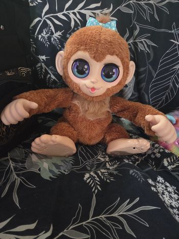 Peanut le singe