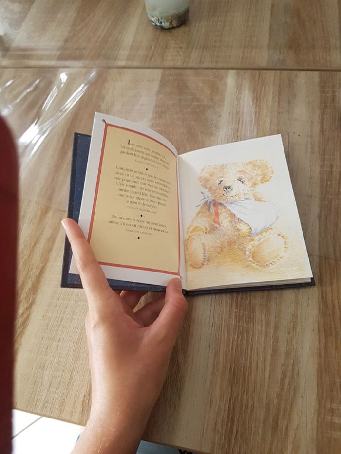 Livre les Nounours - photo numéro 2
