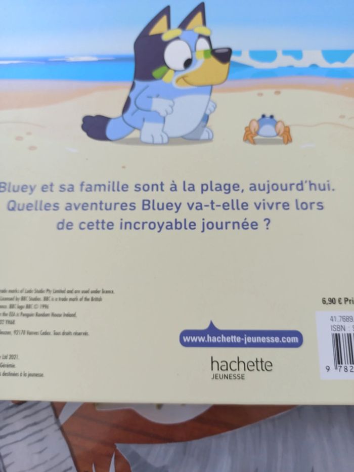 Bluet à la plage - photo numéro 2