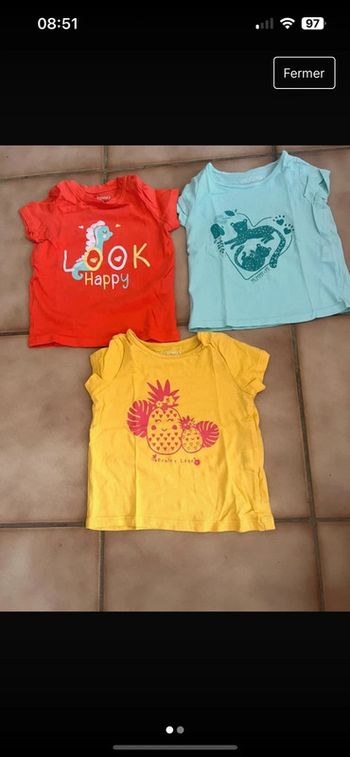 Lot de T-shirt taille 18 mois été in extenso