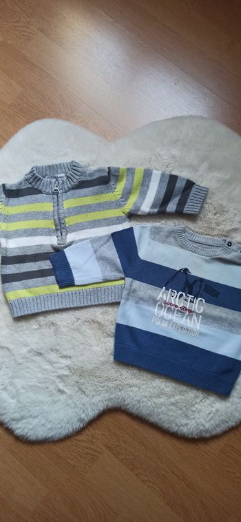 Lot de 2 pulls taille 9 mois