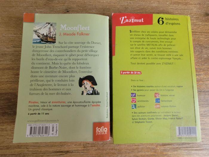 Lot de 2 livres enfant (Pirates et Espions) - photo numéro 2