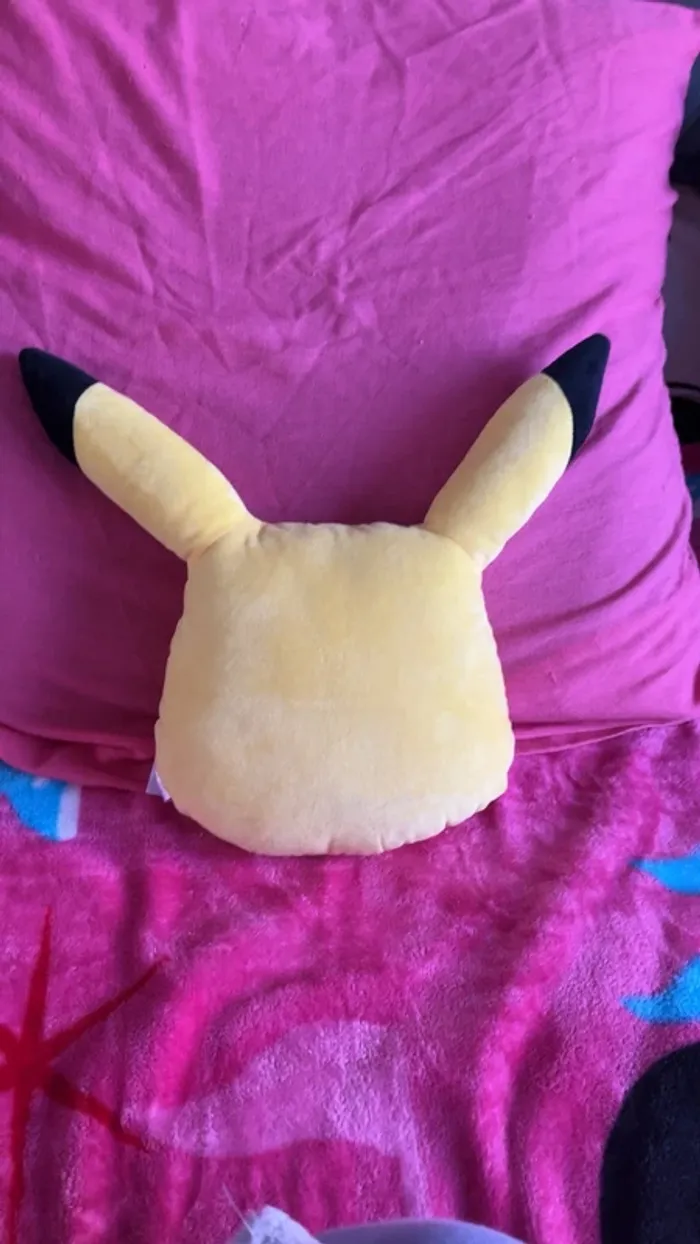 Coussin (petit) - photo numéro 2