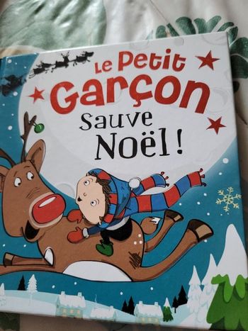 Le petitfarcon sauvé Noel