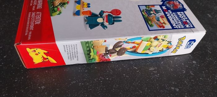 Un tour dans la grande roue pokémon 8+ Mega - photo numéro 6