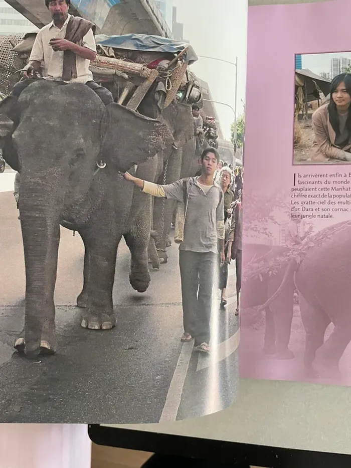 Sunny et L’éléphant - photo numéro 2