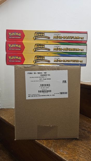 Case de 6 coffret mega ex Héros transcendants me2.5