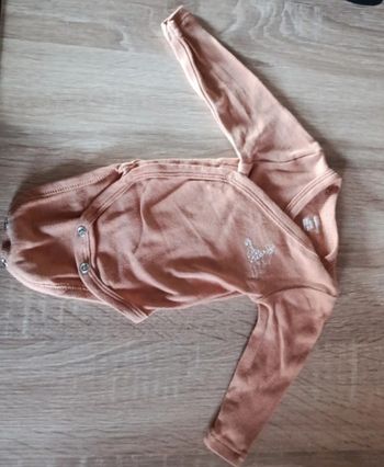 Bodie Disney naissance