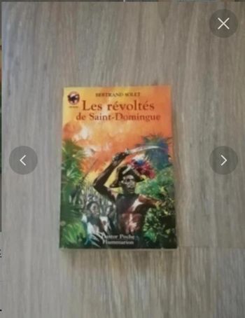 Livre les révoltés de Saint Domingue