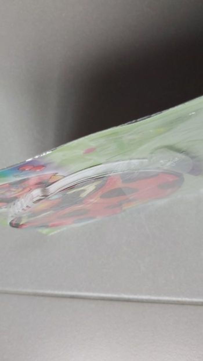 Décore ton carnet coccinelle - photo numéro 4