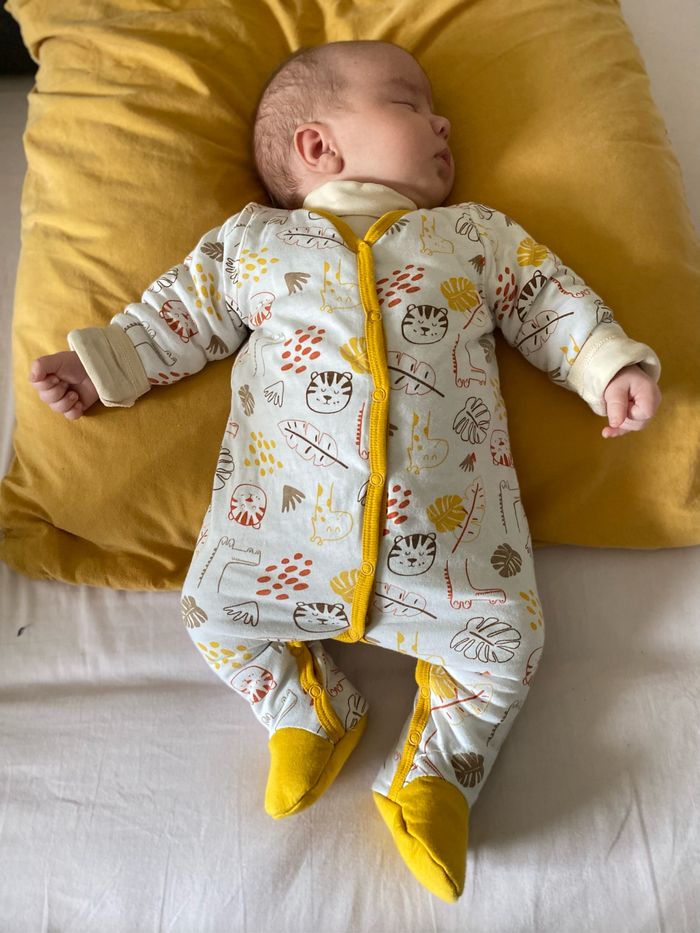 3m | pyjama molletoné DPAM - photo numéro 2