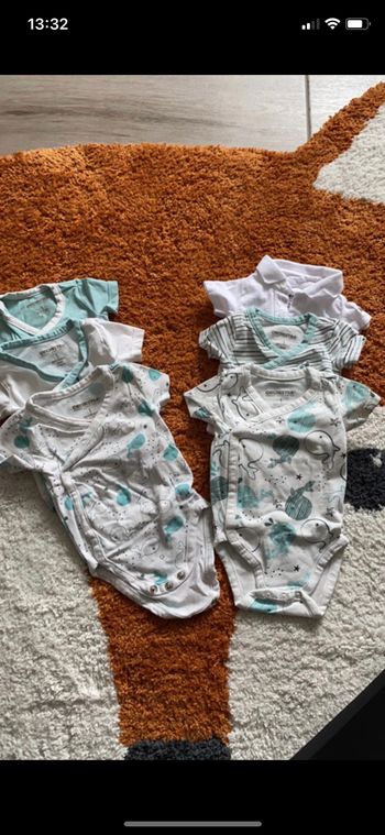 Lot de 6 bodies manches courtes