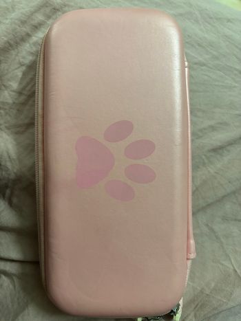 Pochette switch lite