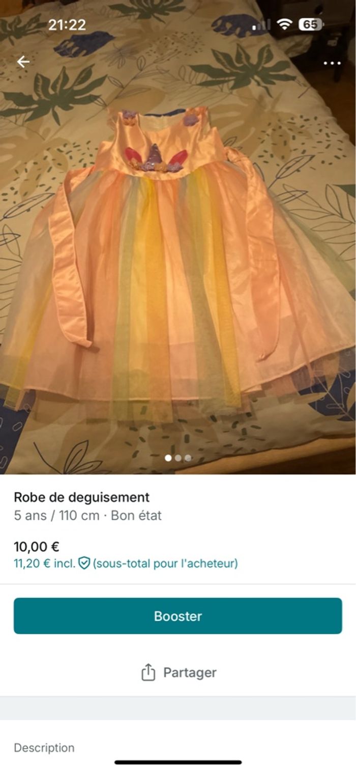 Robe - photo numéro 4