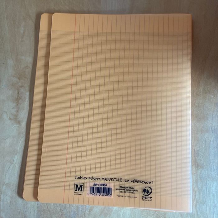 Lot de 2 cahiers 24x32