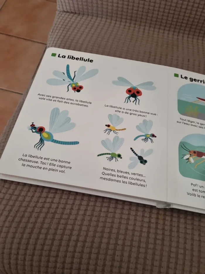 Livre "les petites bêtes " - photo numéro 14