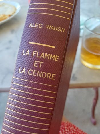 Livre La flamme et la cendre 