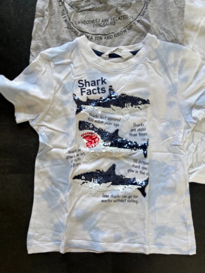 Lot 5 t-shirt garçon H&M et Zara - photo numéro 2