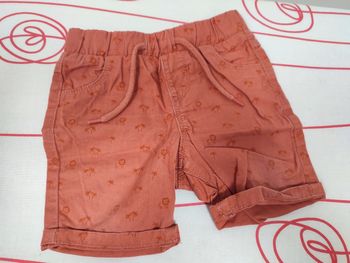 Short bébé 18 mois