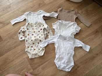 Lot 5 body