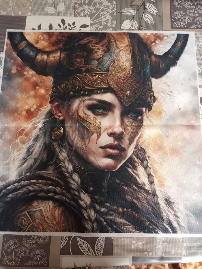 Toile la guerrière viking - photo numéro 2