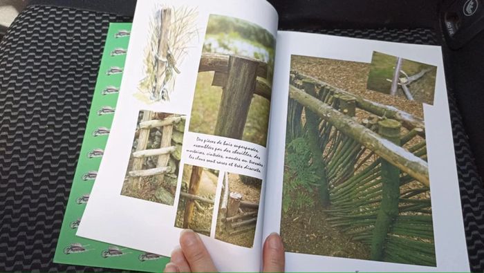 livre cahier de nature francis ambrois - photo numéro 7
