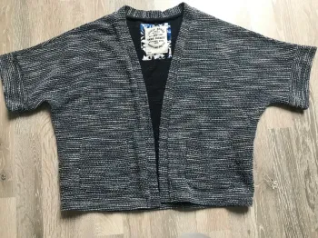 Veste ikks