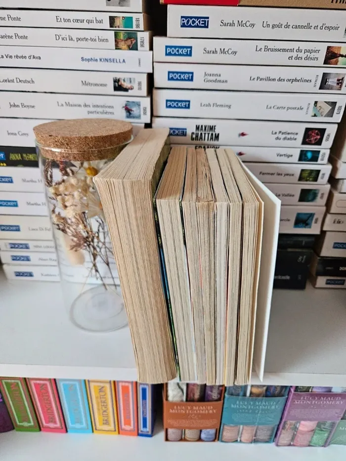 Lot 7 livres cabane magique - photo numéro 3