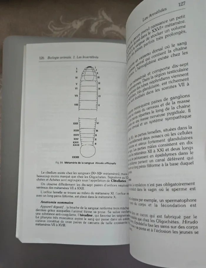 Livre Biologie animale Invertébrés - photo numéro 3