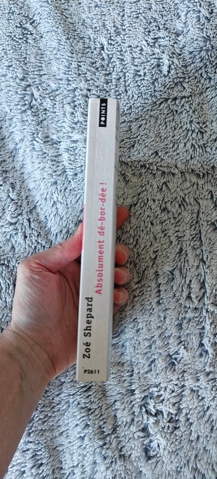 Livre Absolument débordée - photo numéro 4