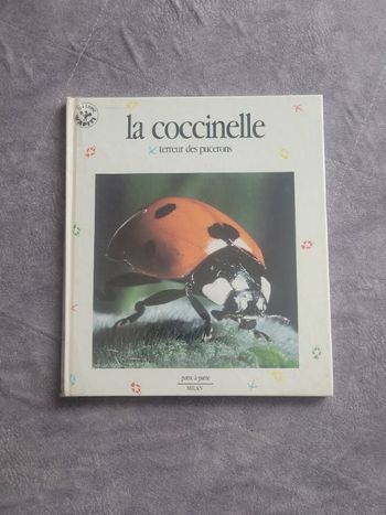 La Coccinelle, terreur des pucerons Cécile Duval