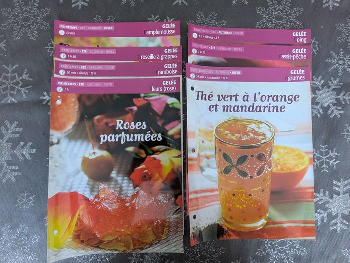 Classeur 69 recettes cuisine compotes, confitures et conserves - photo numéro 6