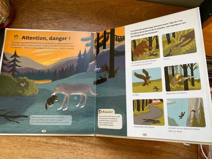 Dokeo le loup - photo numéro 5