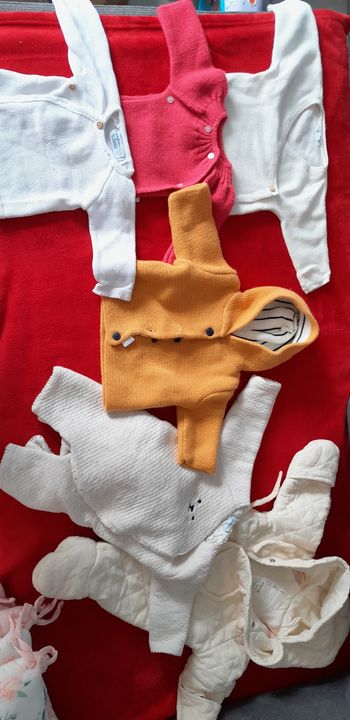 Lot vêtements bébé 1 mois