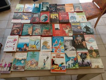 Lot de 40 livres divers (4)
