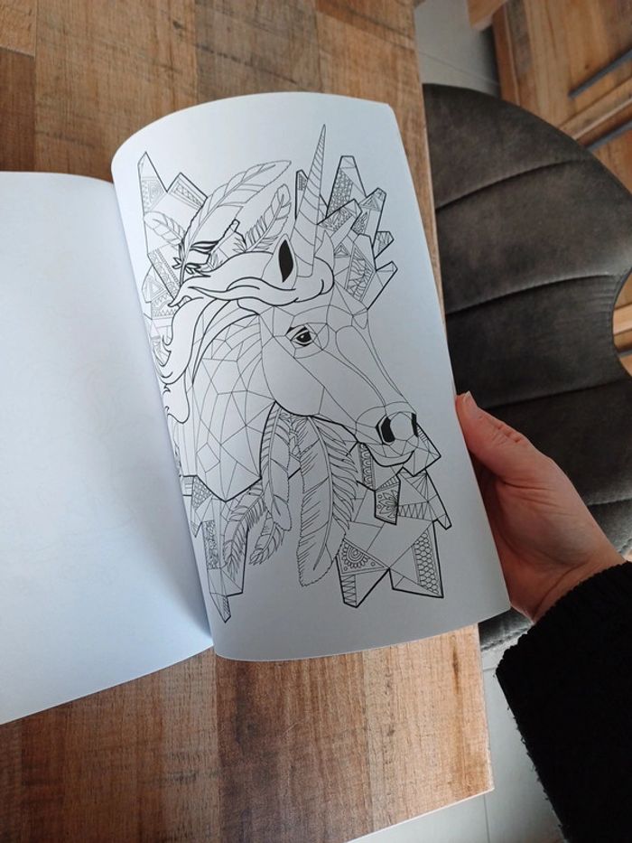 Libre de coloriage Licorne mandala et autres. - photo numéro 12