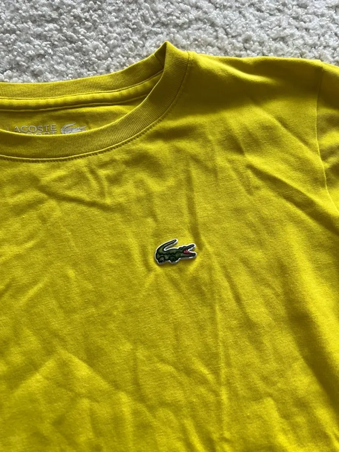 T-shirt Lacoste - photo numéro 2