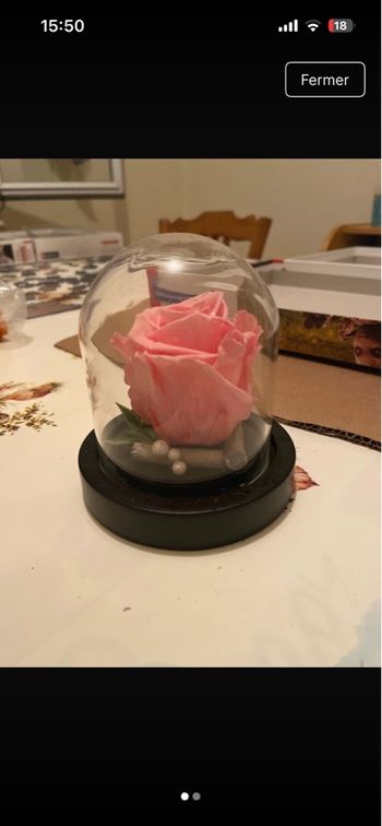 Rose éternelle 