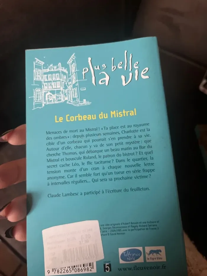 Le corbeau du Mistral Plus belle la vie - photo numéro 3