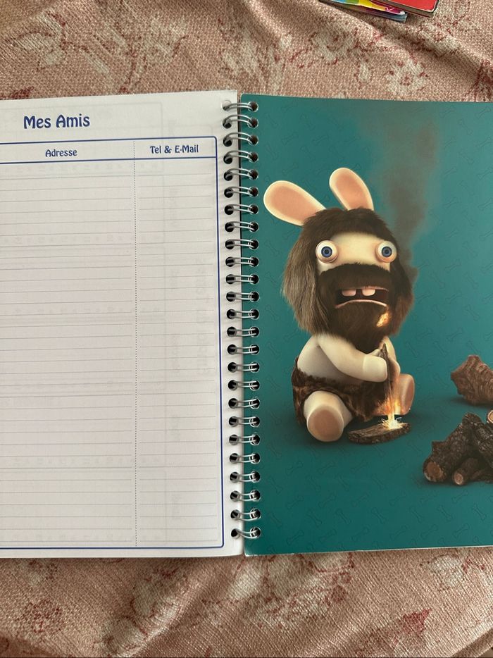 Cahier de texte lapins crétins - photo numéro 3