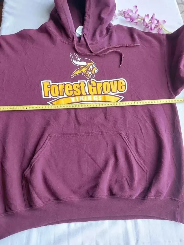 Sweat à capuche mixte Forest Grove Vikings Taille L - photo numéro 6