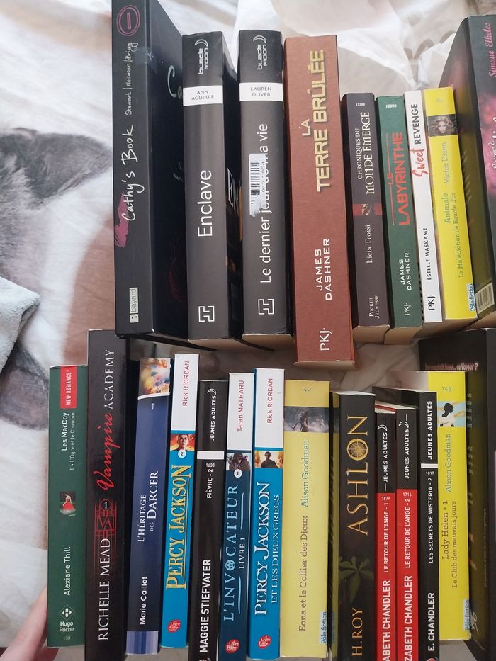 Lot 28 romans Fantastiques Dystopiques Adolescents Fantasy Romantasy Magie Young Adult New Adult - photo numéro 2