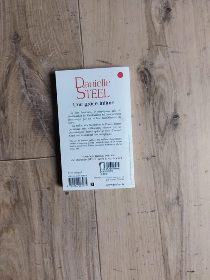 Danielle Steel Une grâce infinie - photo numéro 2