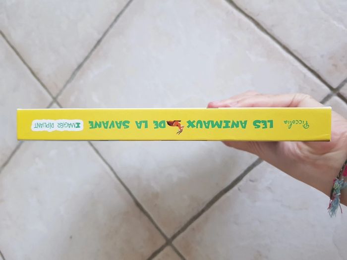 Livre les animaux de la savane - photo numéro 4