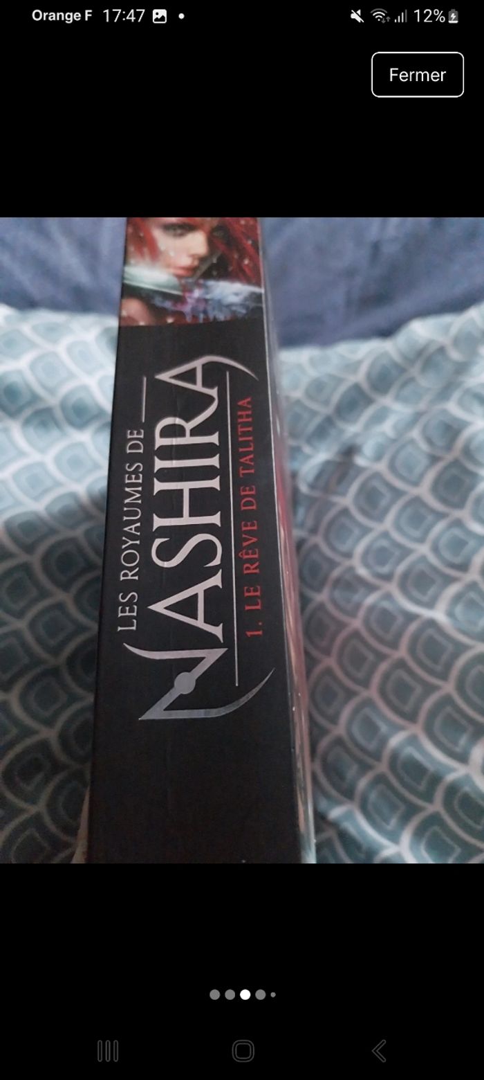 Roman Les Royaumes de Nashira tome 1 Licia Troisi - photo numéro 3