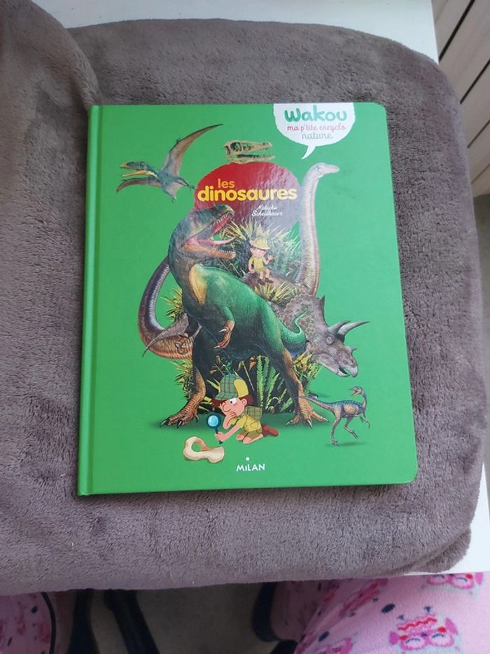 Livre sur les dinosaures
