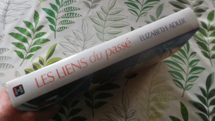 Les liens du passé de Elizabeth Adler Ed. Succès du Livre - photo numéro 3