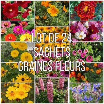lot exceptionnel : 24 sachets de graines de fleurs – annuelles & vivaces
